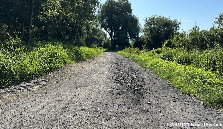 Am Rundweg um den Moorteich zwischen der Friedrich-Engels-Straße und An den Bleichen muss Hand angelegt werden.