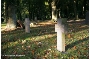Gedächtnislandschaften auf dem Zentralfriedhof