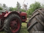 Treckerfreunde Kedingshagen stellen auf der Wiese vor der Mühle ihre historischen Traktoren vor.