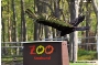 Zoo Stralsund